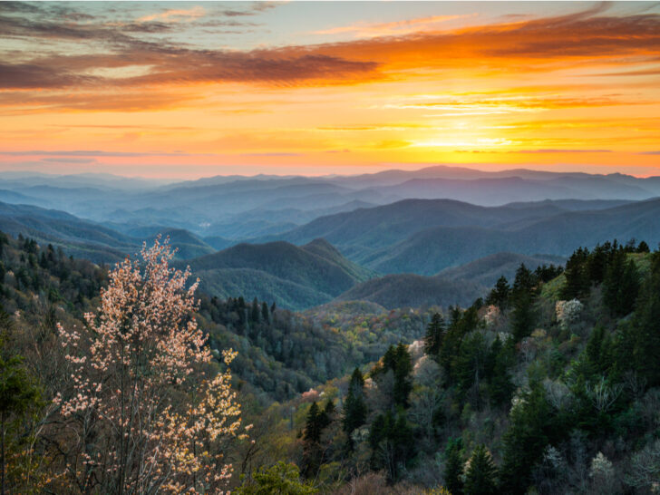 Best & Fun Things To Do + Places To Visit In Cherokee, North Carolina. #Top Attractions