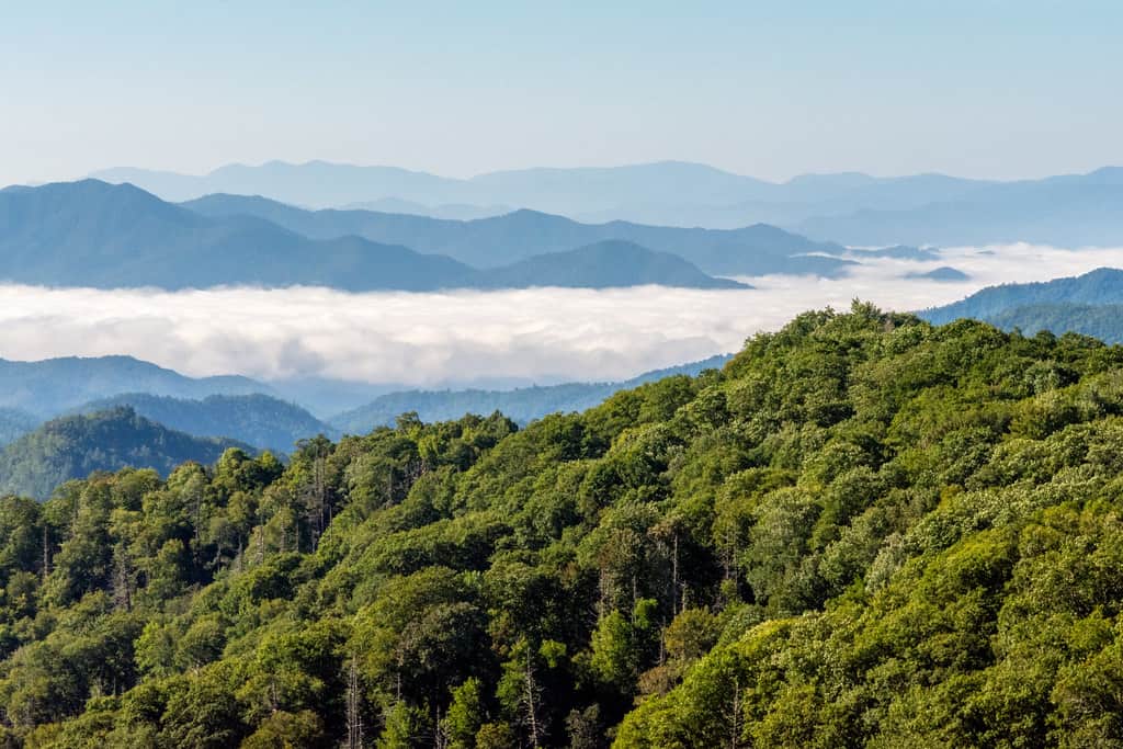 Great Smoky Mountains National Park Cherokee North Carolina