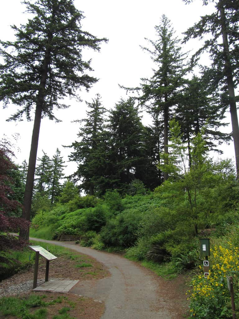 Hoyt Arboretum Portland, Oregon