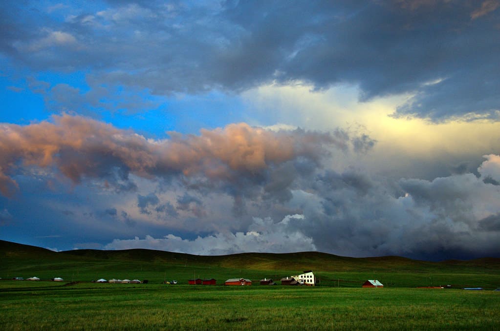 Khustain Nuruu National Park, Mongolia 
