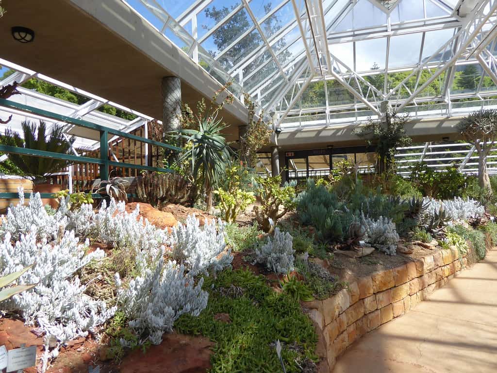 Kirstenbosch National Botanical Garden Cape Town, South Africa