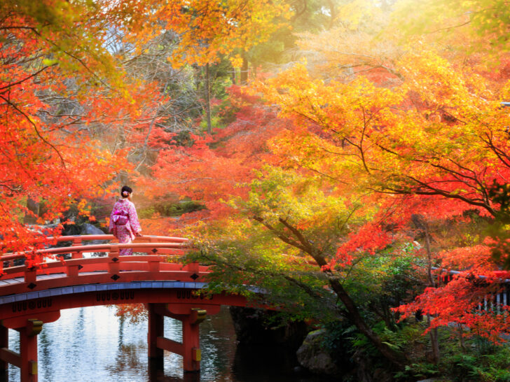Best & Fun Things To Do + Places To Visit In Kyoto, Japan. #Top Attractions