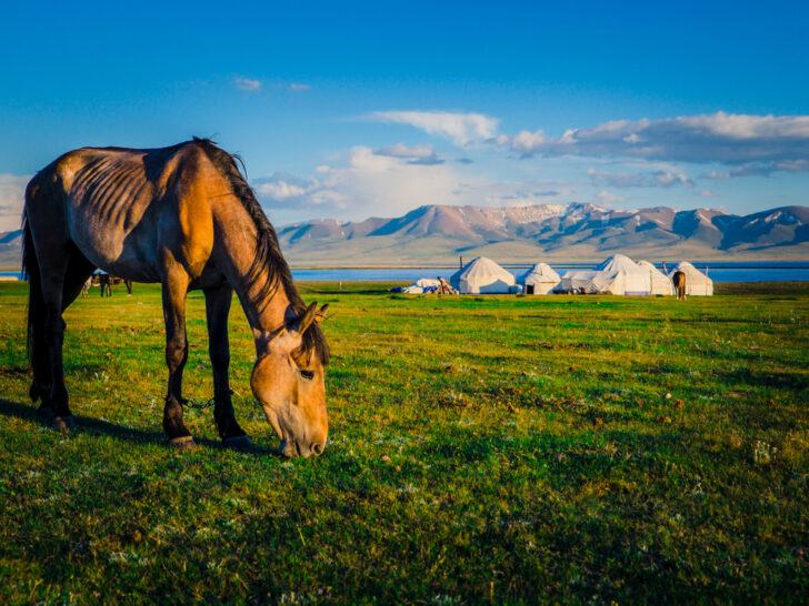Best & Fun Things To Do + Places To Visit In Kyrgyzstan. #Top Attractions