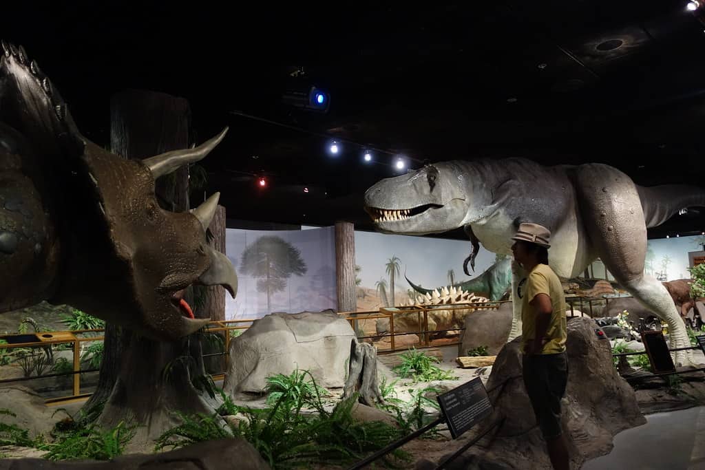 Las Vegas Natural History Museum , Nevada