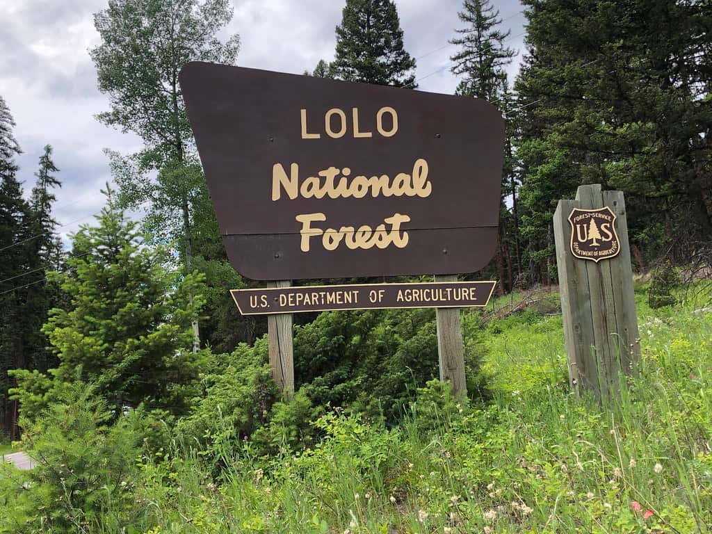 Lolo National Forest Missoula, Montana
