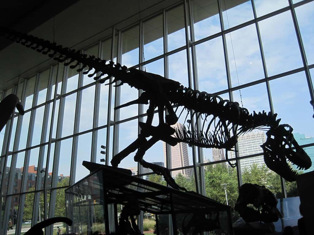 Maryland Science Center Baltimore, Maryland