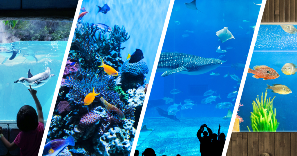 Best Things To Do in Lawton, Oklahoma. [Ultimate] Travel Guide, Tips