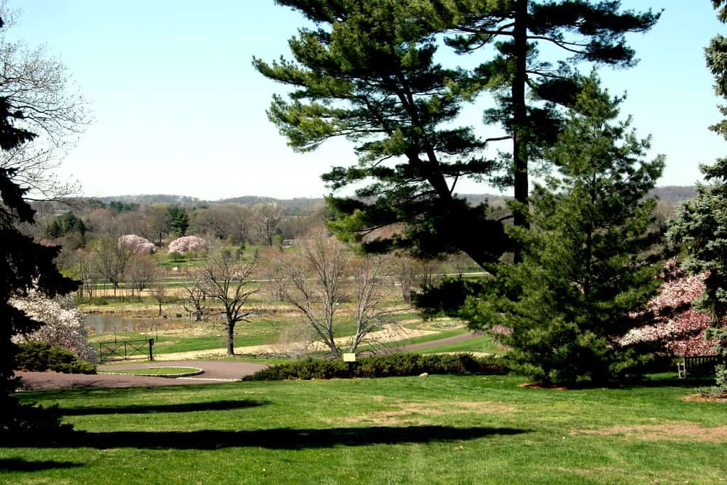 Morris Arboretum University Philadelphia, Pennsylvania 