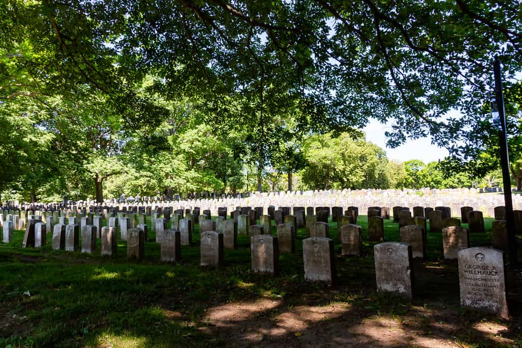 Mount Hope Cemetery Rochester New York