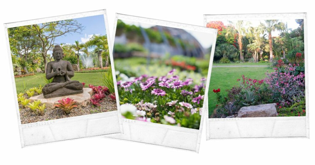 Nevis Botanical Gardens, Saint Kitts and Nevis