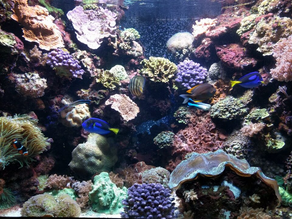 Best Things To Do in Wilmington, North Carolina. [Ultimate] Travel