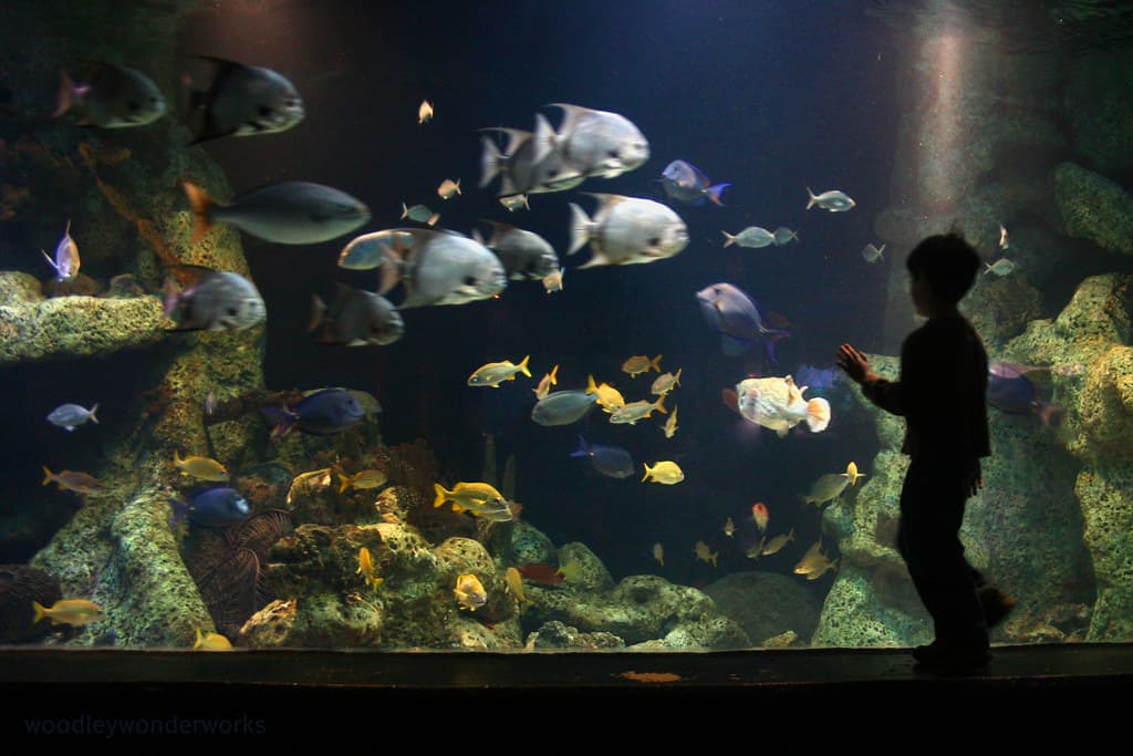 Oklahoma Aquarium Tulsa, Oklahoma