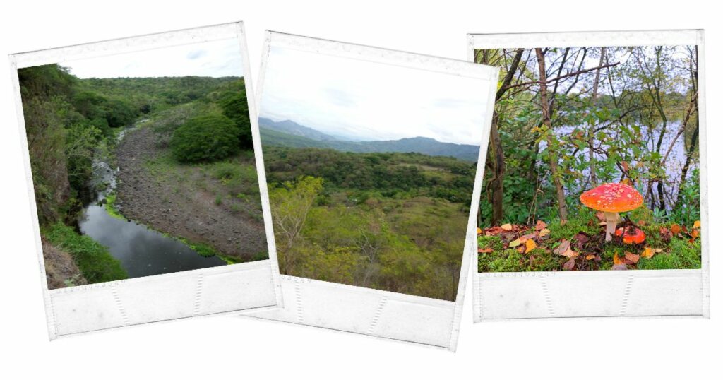 Reserva Natural Miraflor, Nicaragua