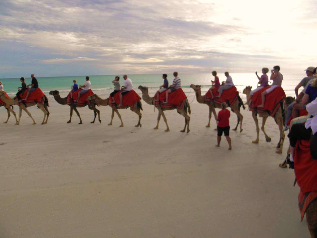Ride a camel , Mauritania