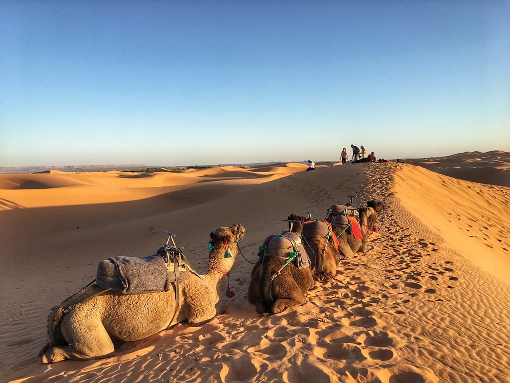 Sahara Desert, Mali