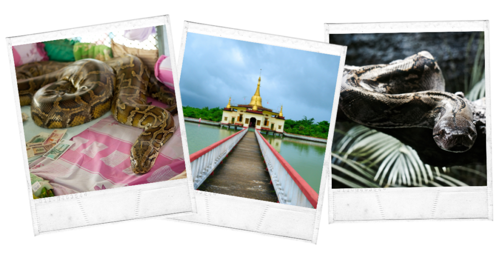 Snake Pagoda, Myanmar