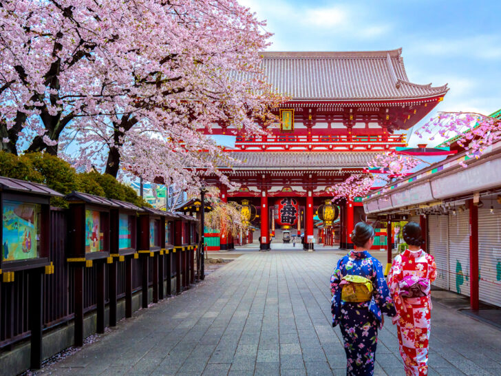 Best & Fun Things To Do + Places To Visit In Tokyo, Japan. #Top Attractions