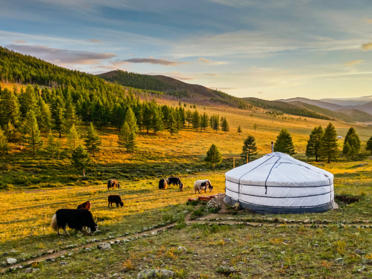Best & Fun Things To Do + Places To Visit In Mongolia. #Top Attractions