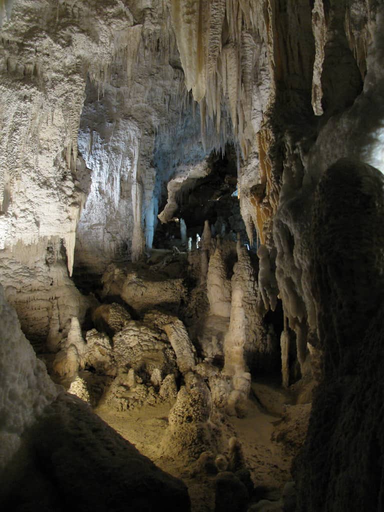 Waitomo Caves, Hamilton, New Zealand