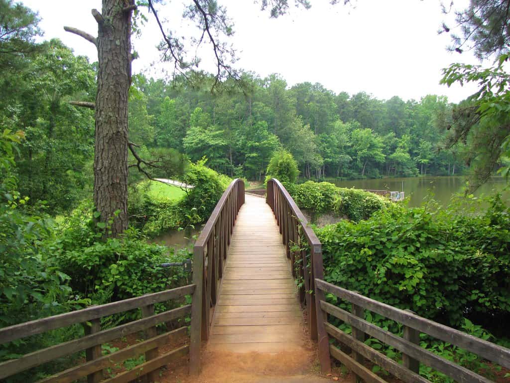 William B. Umstead State Park Raleigh, North Carolina