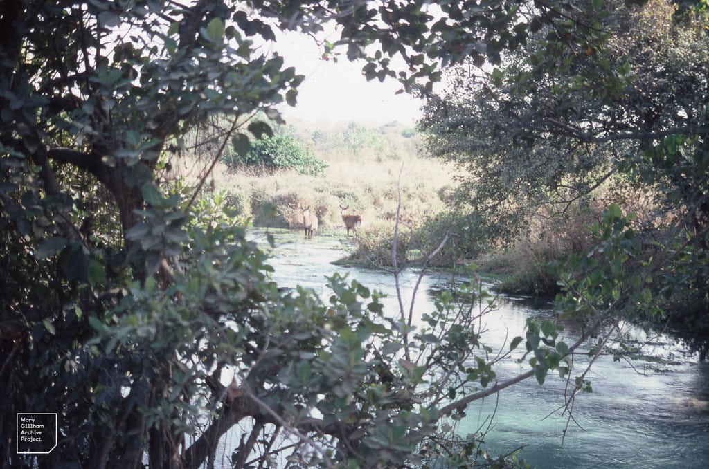 Yankari National Park, Lagos, Nigeria