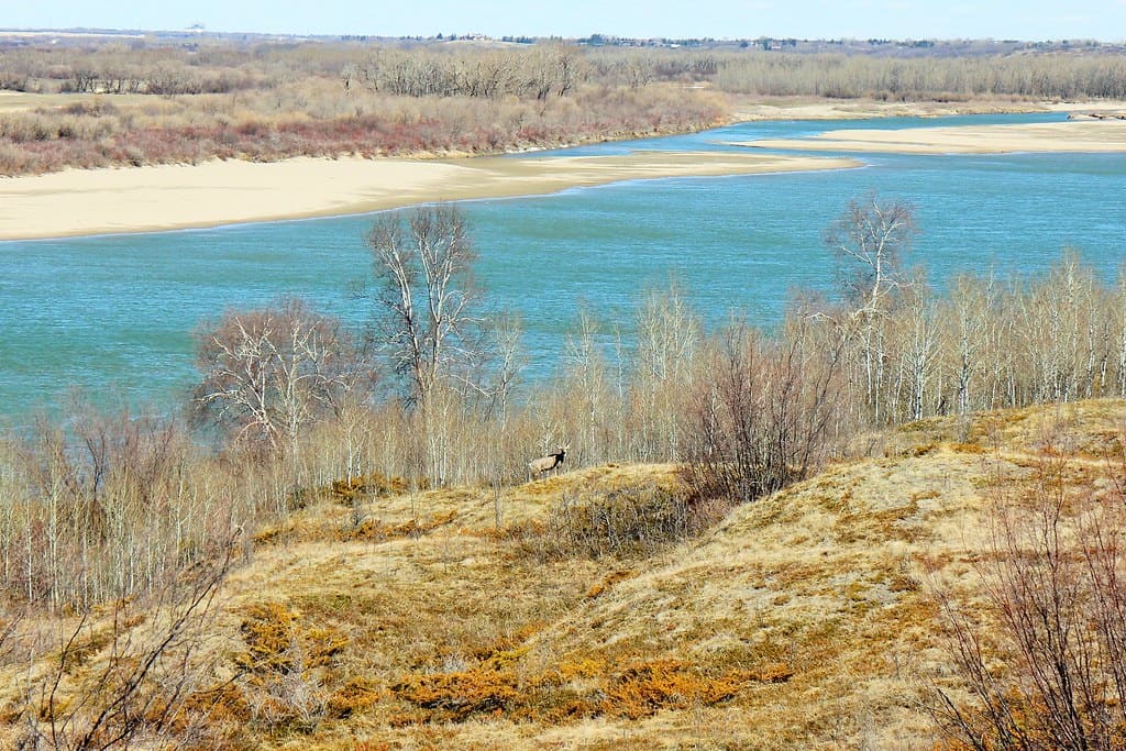 Beaver Creek Conservation Area, (Saskatoon), Canada