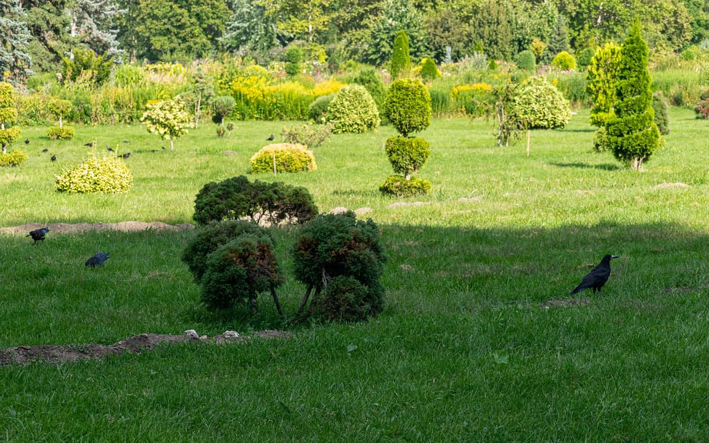 Dendrarium Park, Moldova