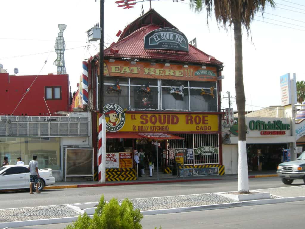 El Squid Roe, Cabo San Lucas, Mexico