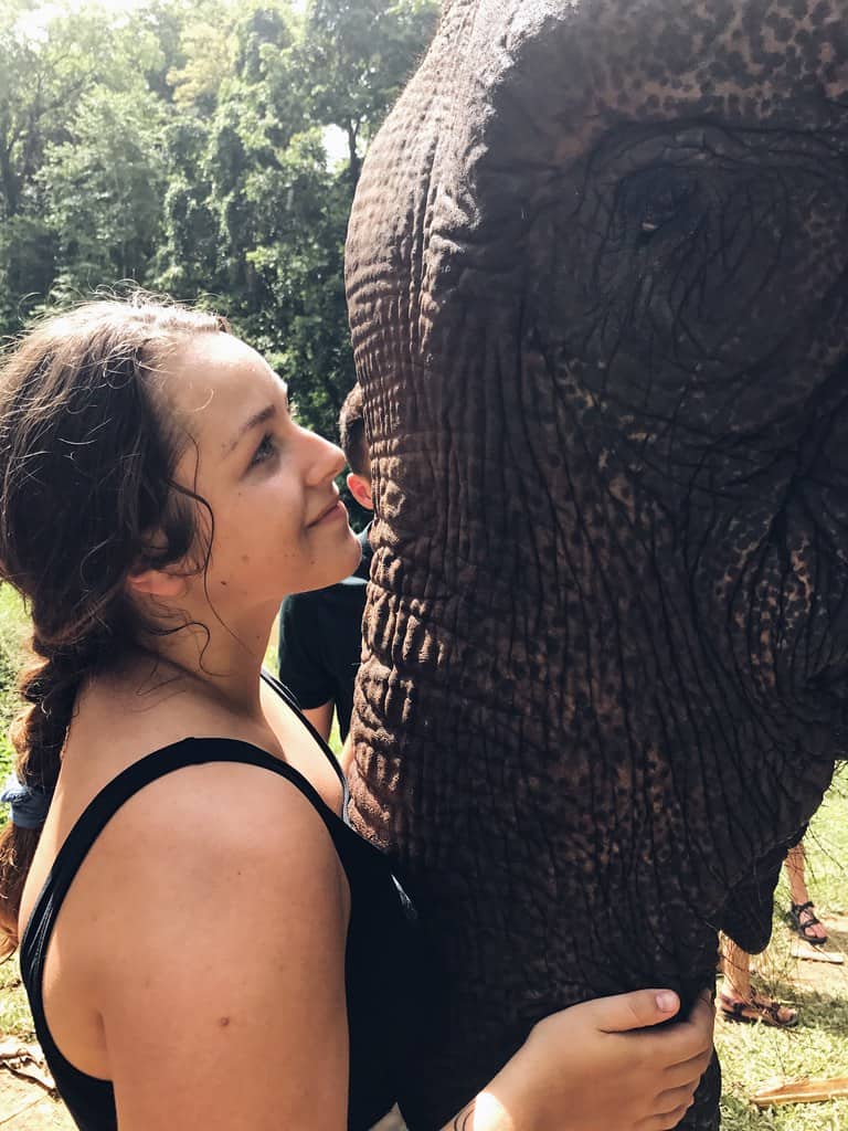 Elephant Jungle Sanctuary (Chiang Mai), Thailand