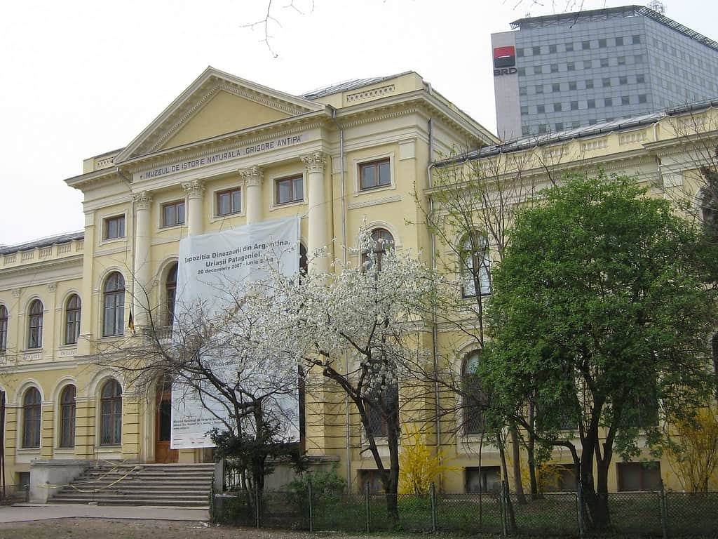 Grigore Antipa Museum of Natural History, Bucharest, Romania