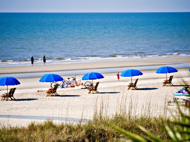 Best & Fun Things To Do & Places To Visit In Hilton Head, South Carolina
