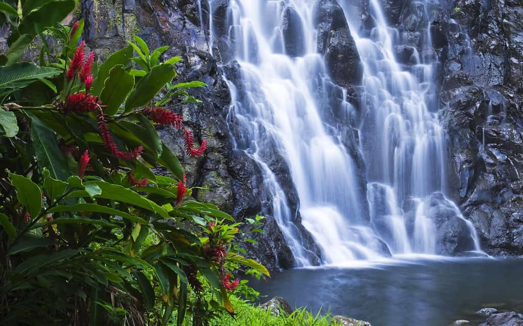 Kepirohi Waterfall, Federated States of Micronesia