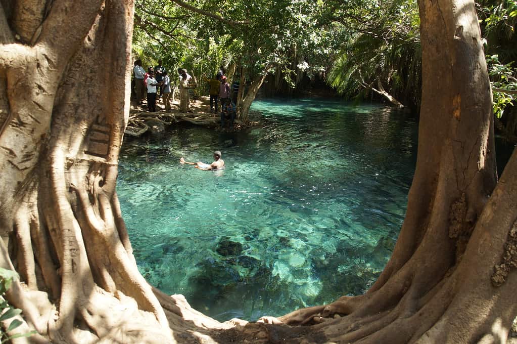Kikuletwa Springs (Maji Moto), Tanzania