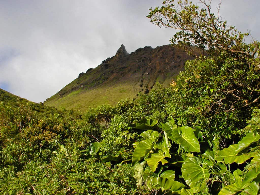 La Soufrière Volcano, Saint Lucia