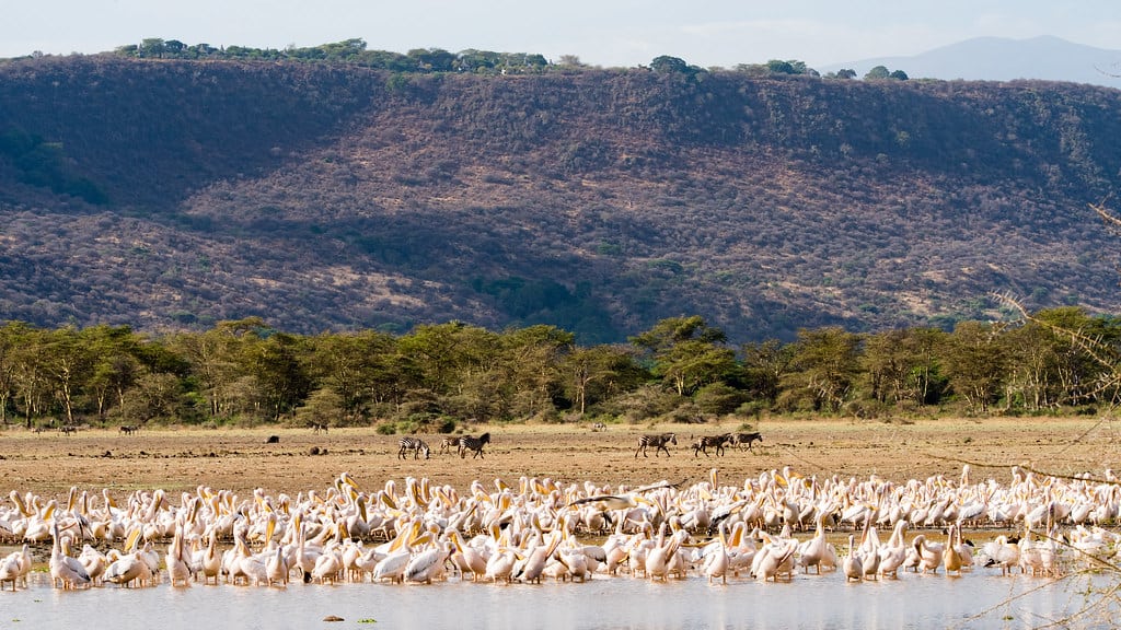 Lake Manyara National Park, Tanzania