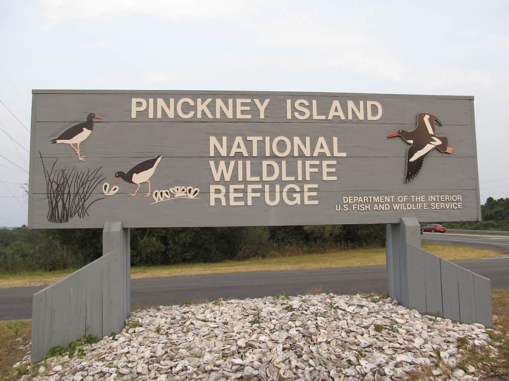 National Wildlife Refuge Hilton Head, South Carolina