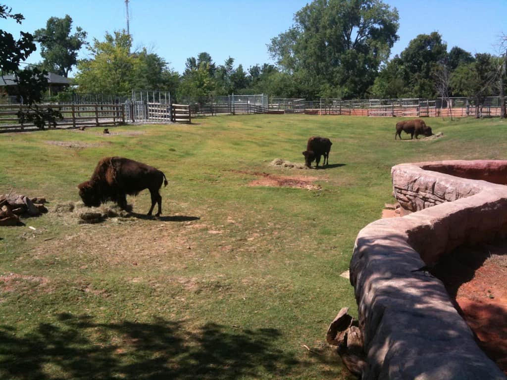 Oklahoma City Zoo, Oklahoma
