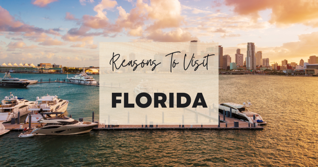 Reason To Visit Florida