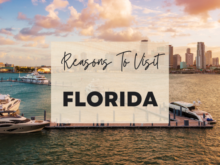 Reasons to visit Florida at least once in your lifetime