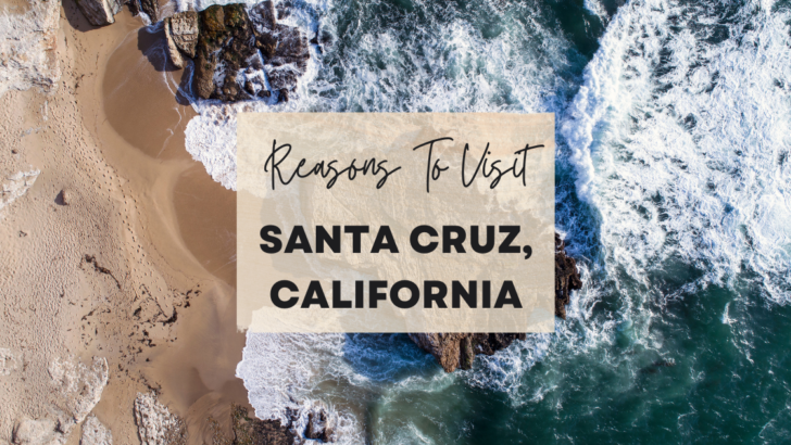 Reasons to visit Santa Cruz, California at least once in your lifetime
