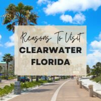 Reasons to visit Clearwater Florida