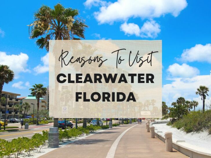 Reasons to visit Clearwater, Florida at least once in your lifetime