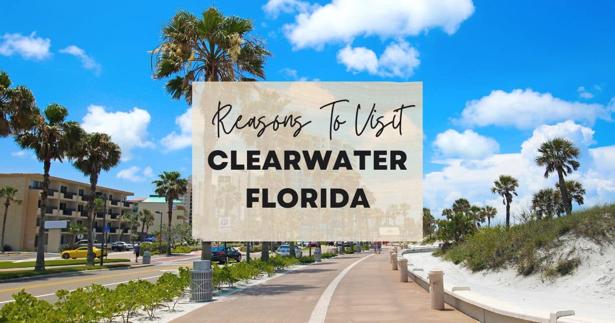 Reasons to visit Clearwater Florida