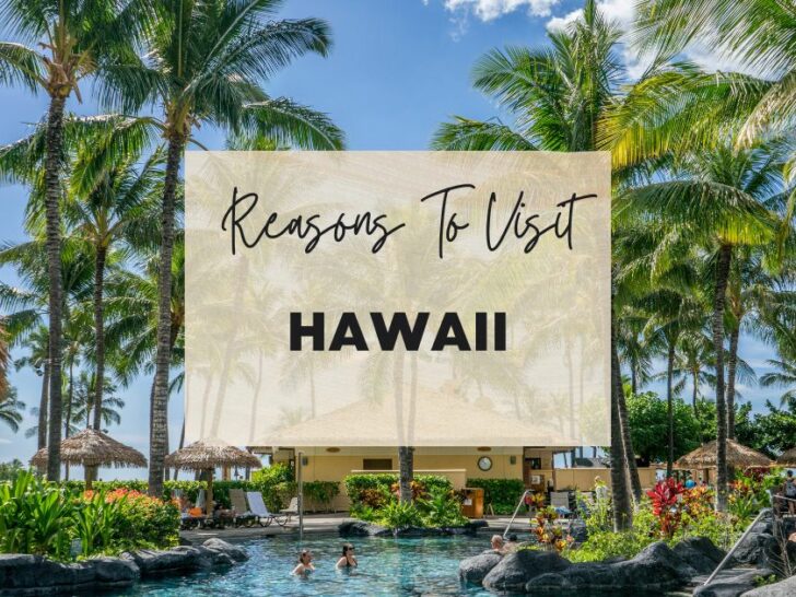 Reasons to visit Hawaii at least once in your lifetime
