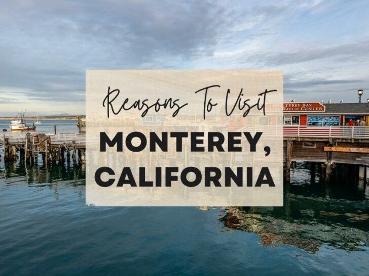 Reasons to visit Monterey, California at least once in your lifetime