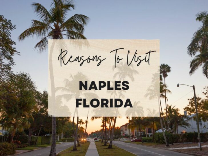 Reasons to visit Naples, Florida at least once in your lifetime