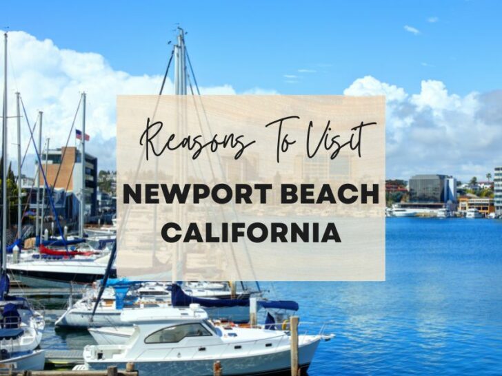 Reasons to visit Newport Beach, California at least once in your lifetime