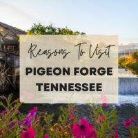 Reasons to visit Pigeon Forge Tennessee