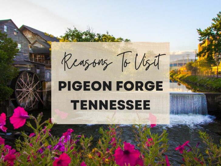 Reasons to visit Pigeon Forge, Tennesse at least once in your lifetime
