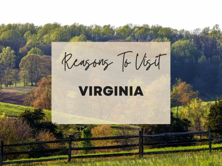 Reasons to visit Virginia at least once in your lifetime